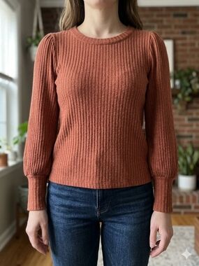 Madewell Ribbed Crewneck Sweater in Rust